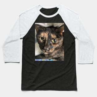 Soulful Tortie Baseball T-Shirt